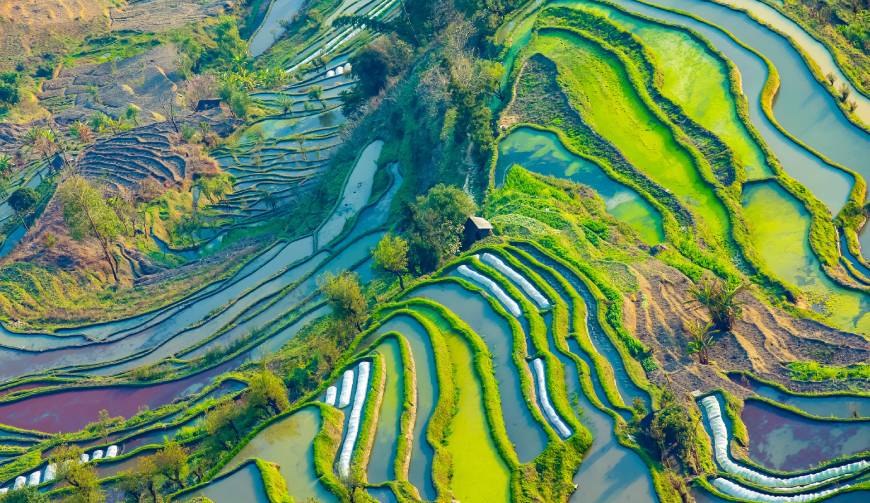走进罗城TVC拍摄：解锁本地化场景与创意镜头的完美融合